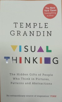 Image of Visual Thinking