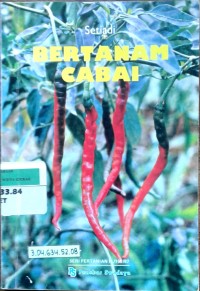 Image of Bertanam cabai