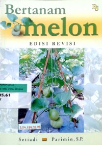 Image of Bertanam melon