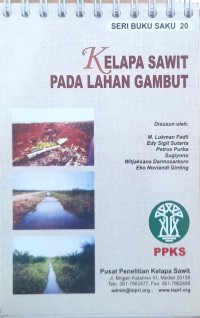 Image of Kelapa sawit pada lahan gambut