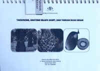 Image of Taksonomi, anatomi kelapa sawit, dan tandan buah segar